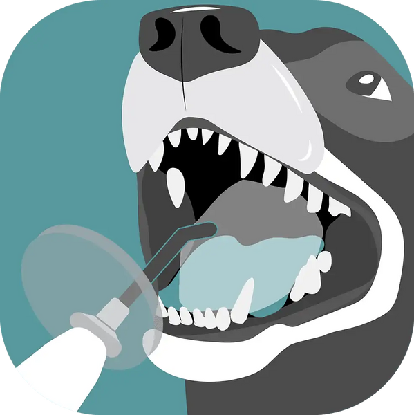 dr-brett-beckmans-composite-restoration-and-bonding-online-course