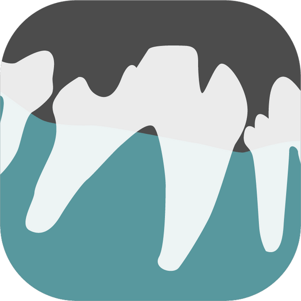 Veterinary Dental Radiographic Interpretation Online Course - Dr Bretts Pets
