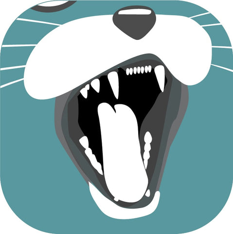 Feline Dentistry Online Course - Dr Bretts Pets