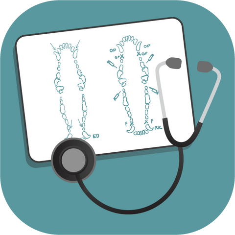 Secrets Of Dental Success Veterinary Online Course - Dr Bretts Pets