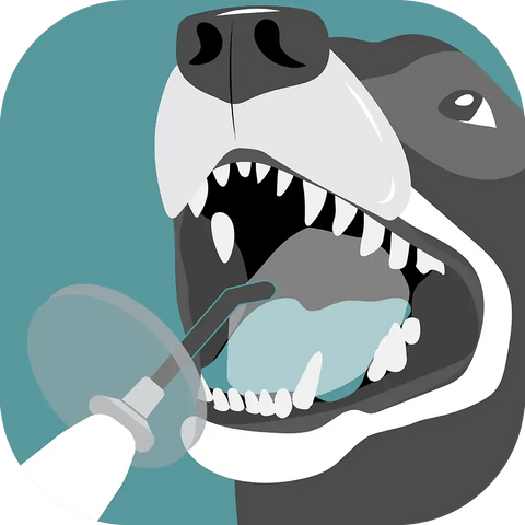 dr-brett-beckmans-composite-restoration-and-bonding-online-course