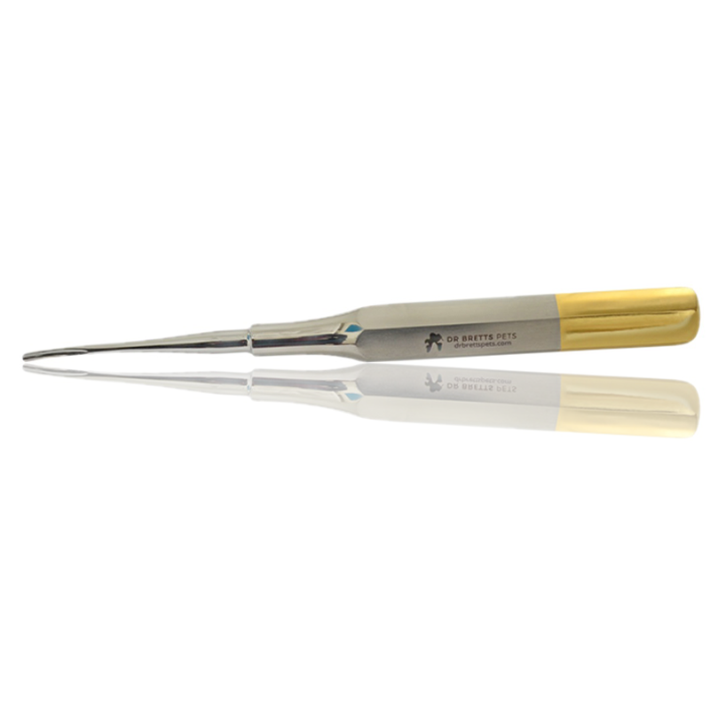 Deciduous Instruments Veterinary Dental Instruments Concave 1.3 mm Canine Luxator Elevator ...
