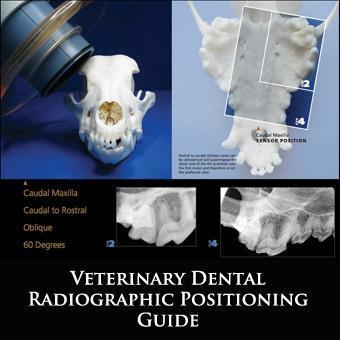 Veterinary Dental Radiographic Positioning Guide 2nd Edition
