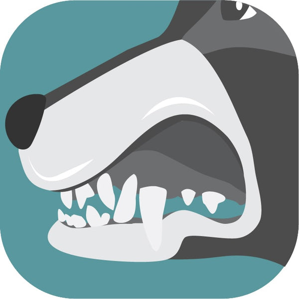 Canine Dentistry Online Course - Dr Bretts Pets